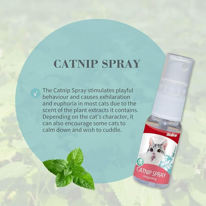 Bioline Catnip Spray For Cats 15ml - Image 2