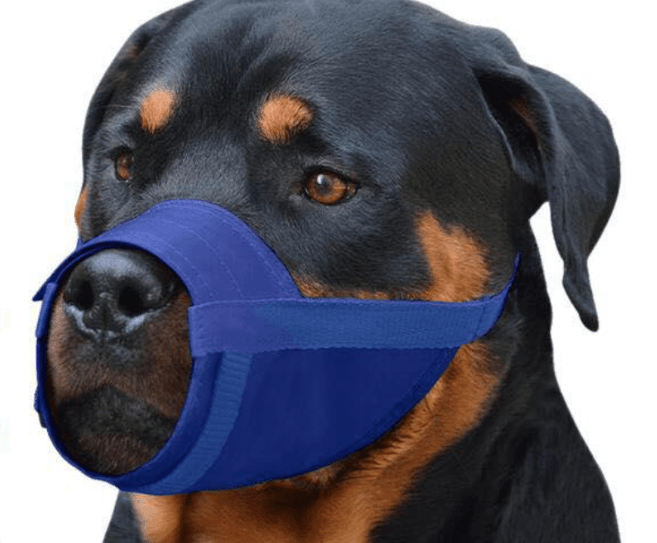Adjustable Soft Nylon Muzzle for Dogs (Anti-Bite, Breathable) - Image 2