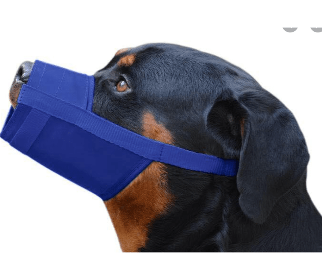 Adjustable Soft Nylon Muzzle for Dogs (Anti-Bite, Breathable) - Image 3