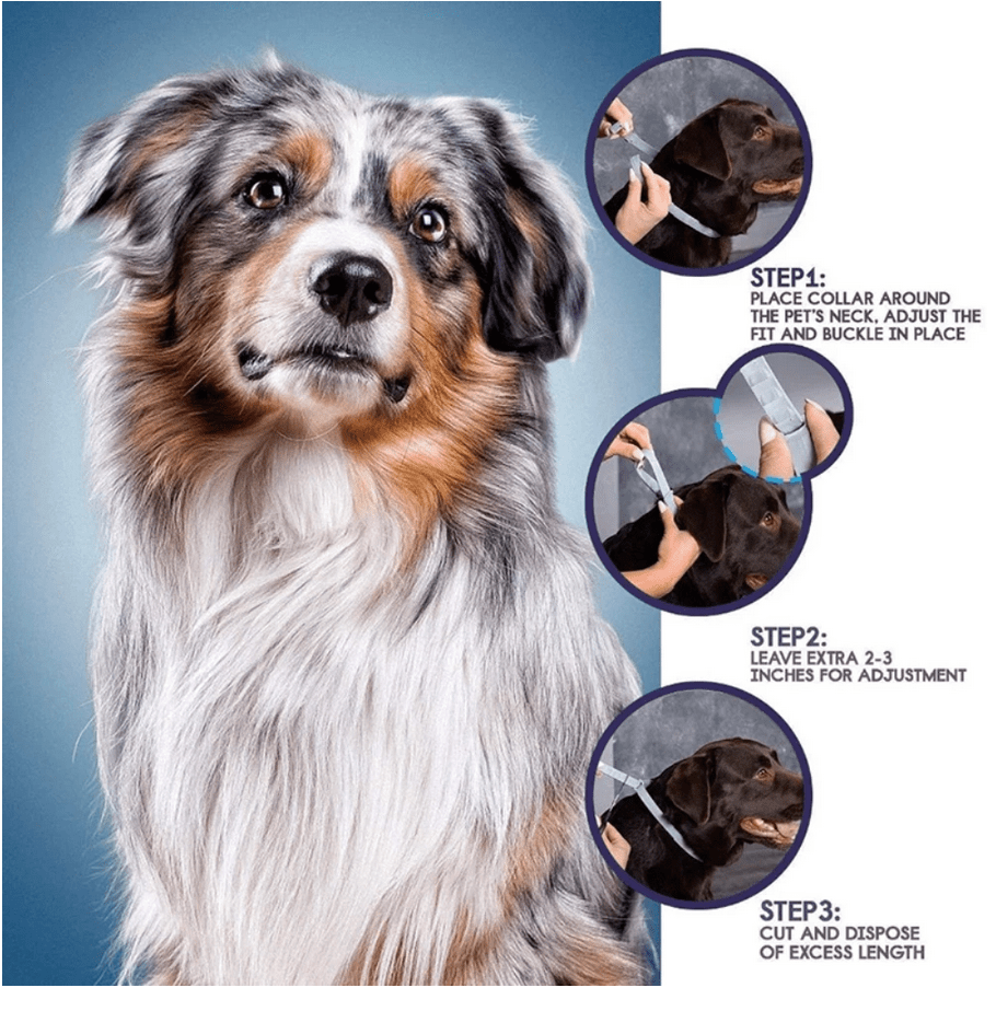 Anti Flea & Tick Collar (Ideal for Outdoor Cats & Dogs) FREE DELIVERY - Image 3