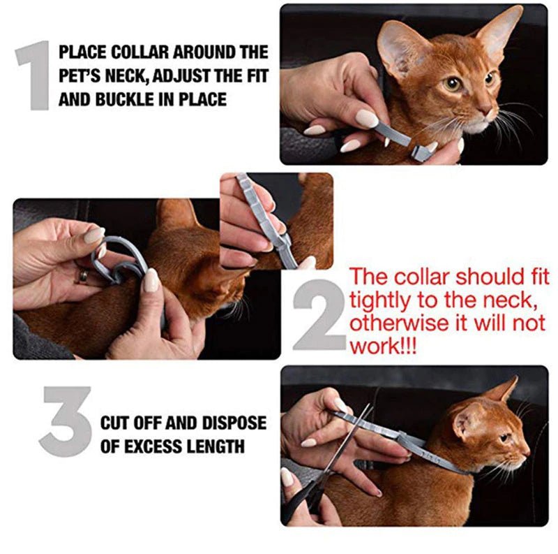 Anti Flea & Tick Collar (Ideal for Outdoor Cats & Dogs) FREE DELIVERY - Image 2