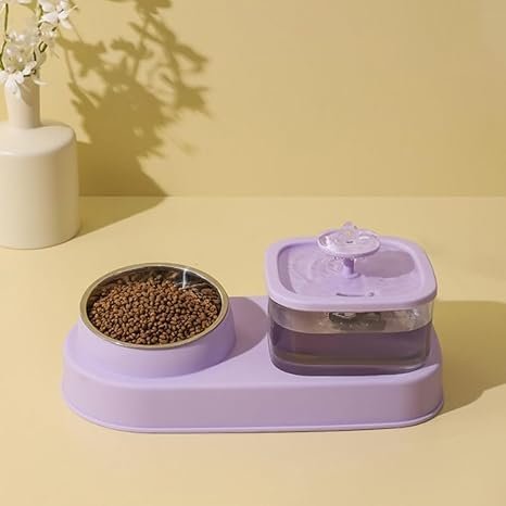 Automatic Pet Food and Water Dispenser