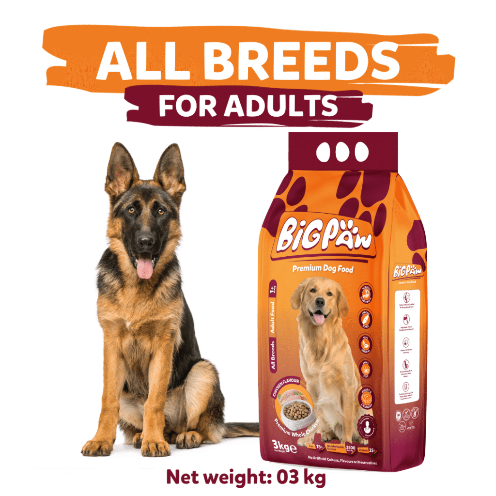 BigPaw Adult Dog Food – 3 KG
