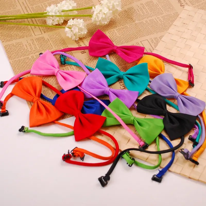 Bows for Cats and Small Puppies/Dogs - Image 2