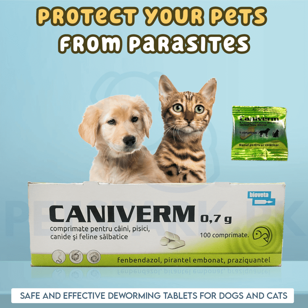 Caniverm Deworming Tablets for Cats & Dogs (01 Tablet)