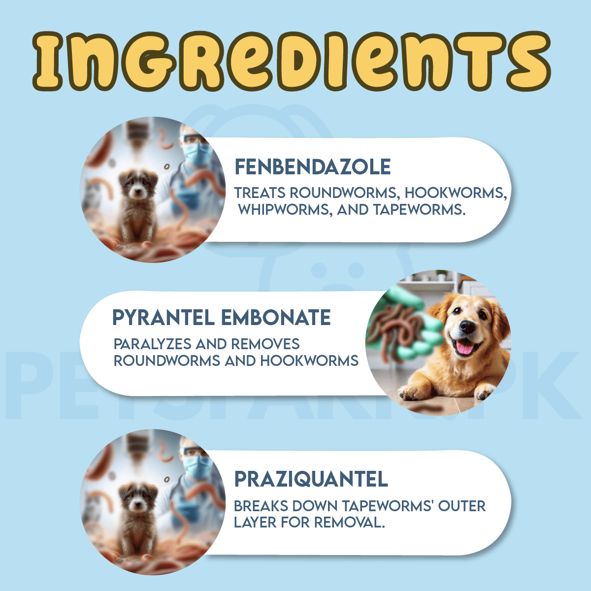 Caniverm Deworming Tablets for Cats & Dogs (01 Tablet) - Image 3