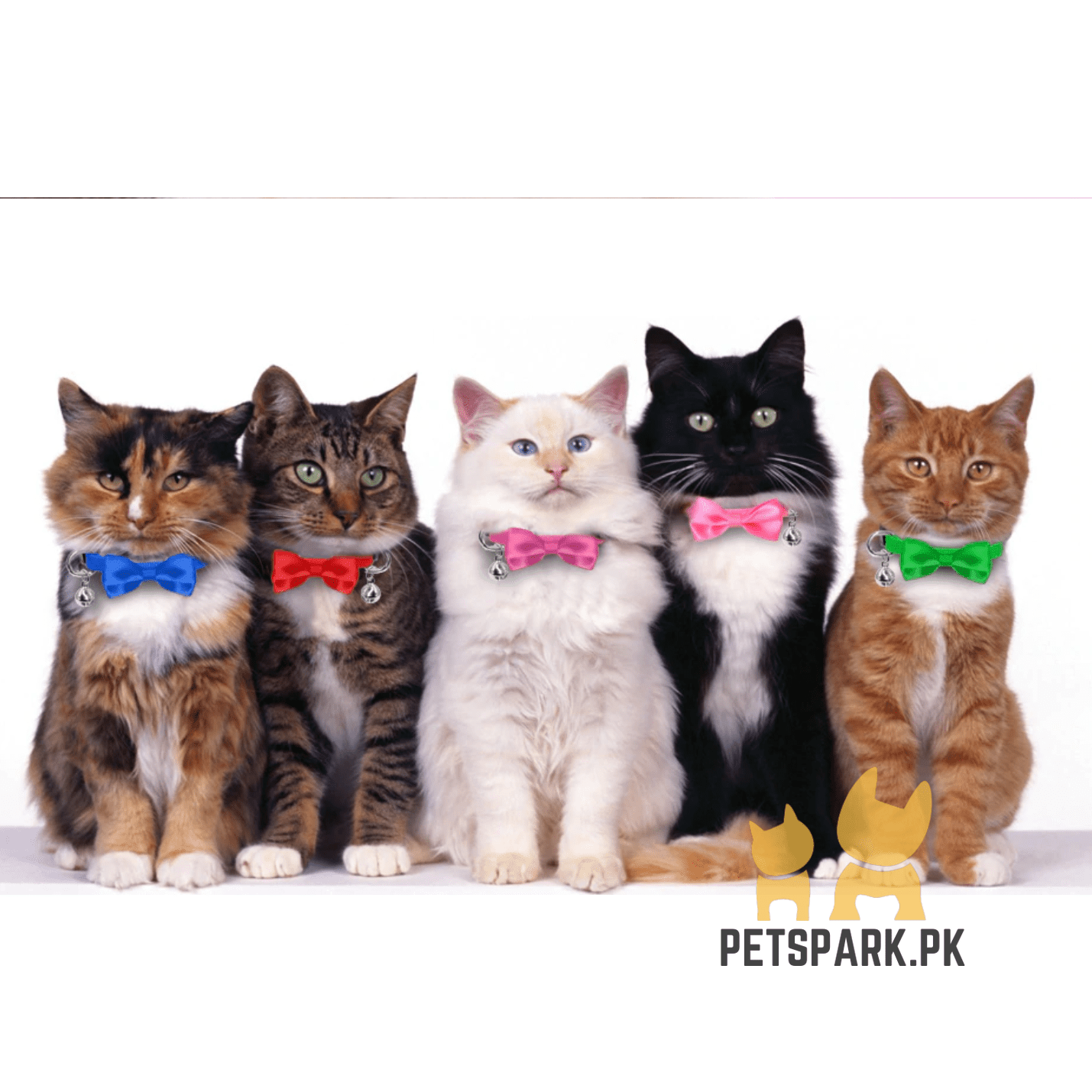 Cat Bow Collars with Bell Adjustable For Cats - Image 2