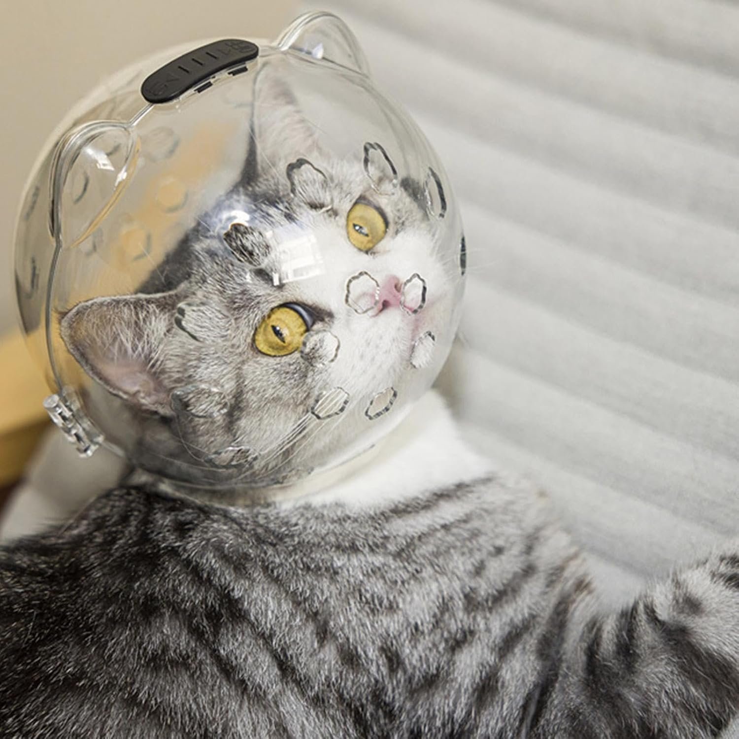 Cat Face Mask For Grooming Large (6.30 x 5.12) - Image 3