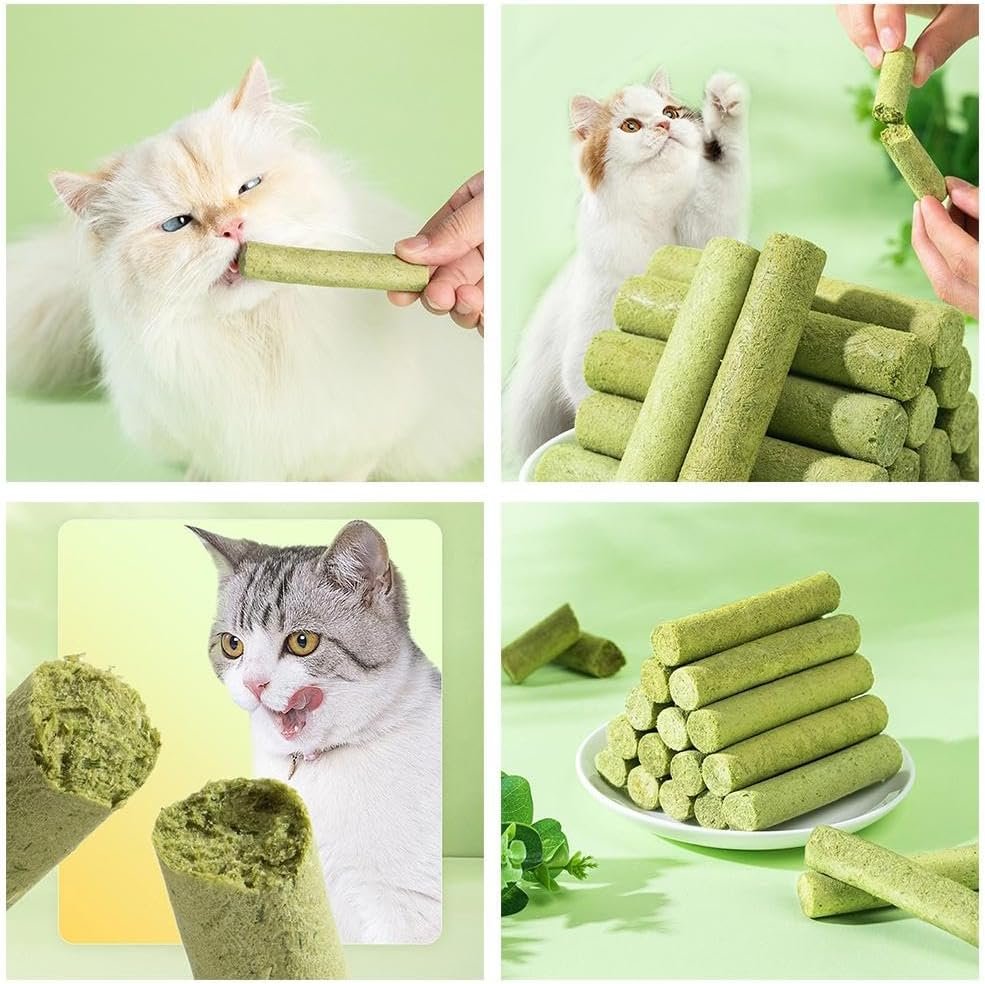 Cat Grass Teething Sticks for Hairballs & Constipation (6 Sticks Pack) - Image 2