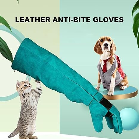 Cat Handling Glove Anti Bite and Anti Scratch - Image 3