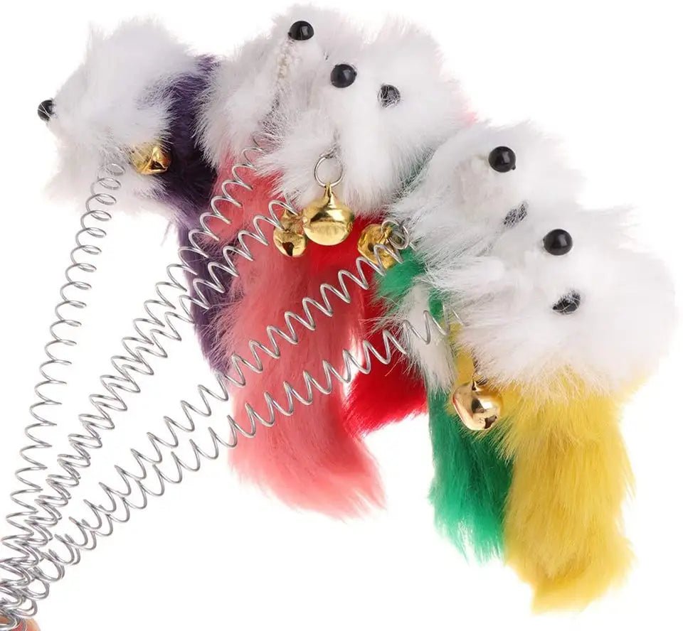 Cat Suction Spring Toy (01 Piece) - Image 2