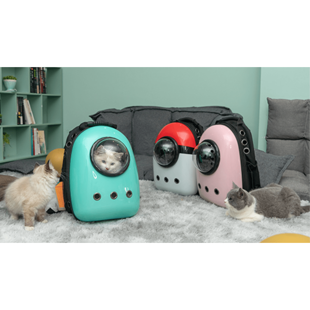 Cat Travel Backpack Colorful - Image 3