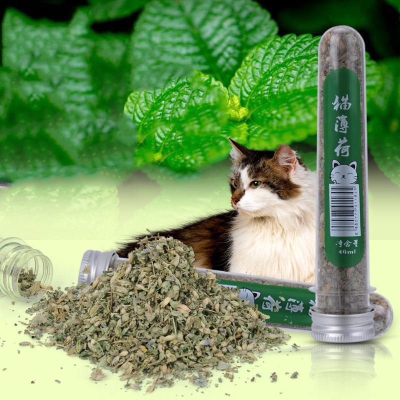 Catnip Leaves for Cats - Image 2
