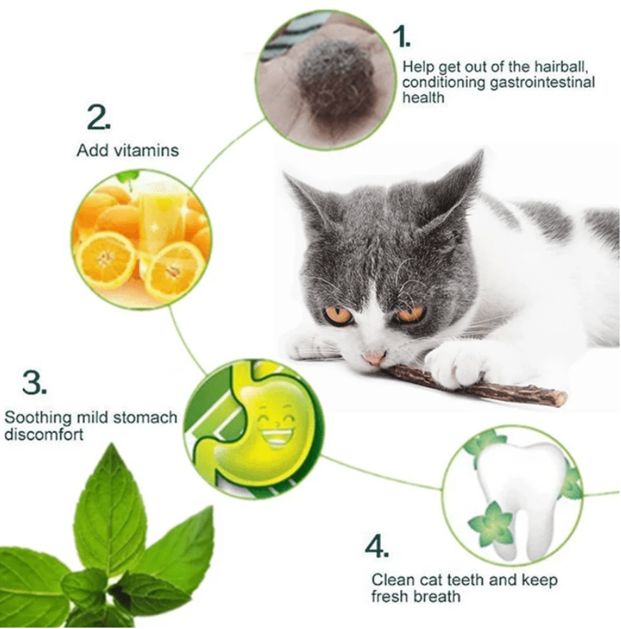 Catnip Stick (Best for Cat Dental Health) (Pack of 4) - Image 3