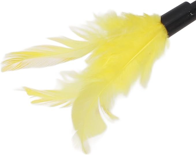 Cats Feather Egg Shape Tumbler Toy - With Feather - Image 2