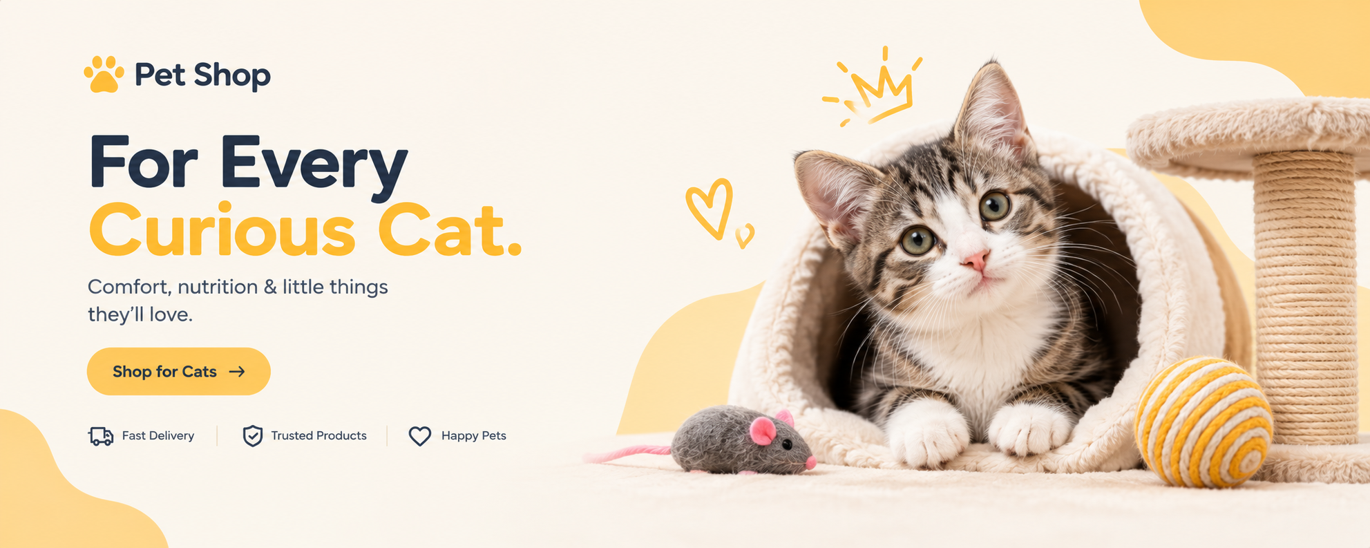 For Every Curious Cat - Comfort, nutrition & little things they will love