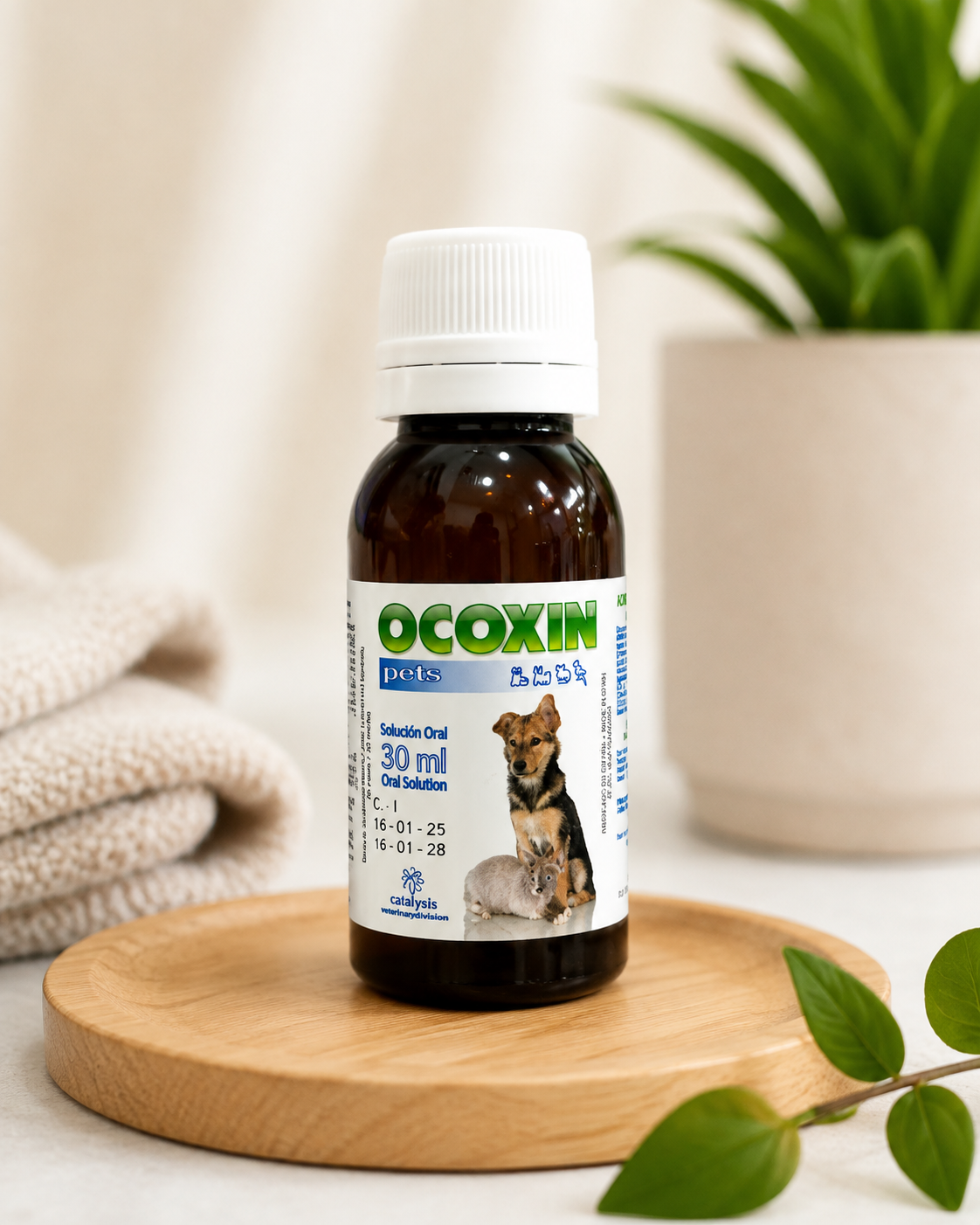 OCOXIN PETS - Nourish & Thrive: Nutritional Support for Pets Undergoing Cancer Therapy