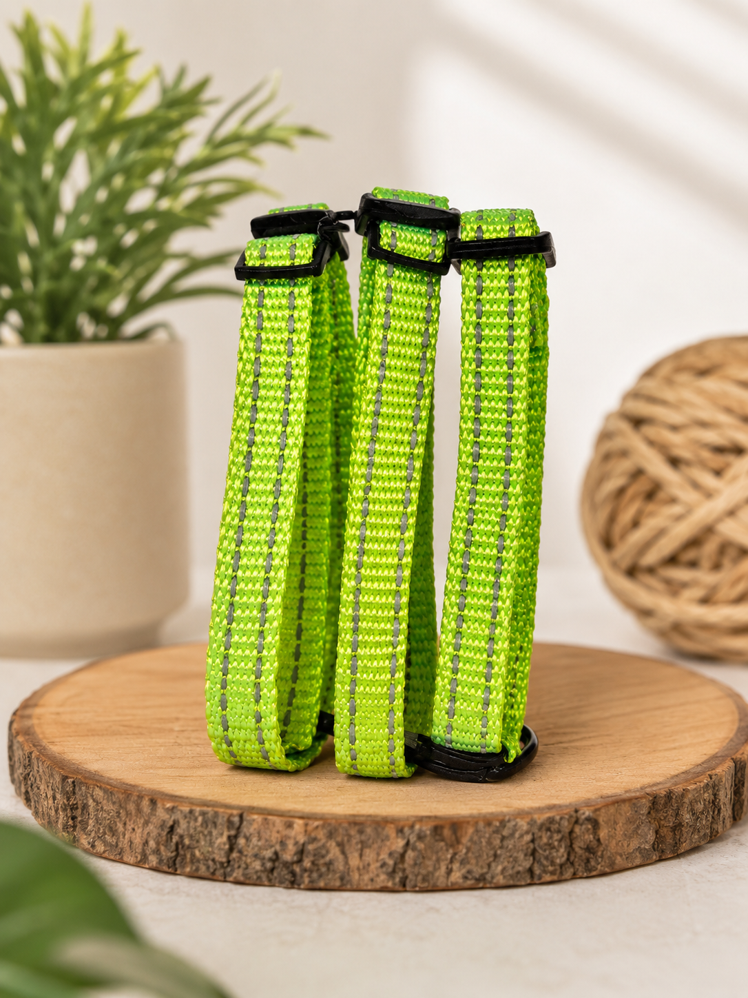 Neon Color Cat Collar - Image 2