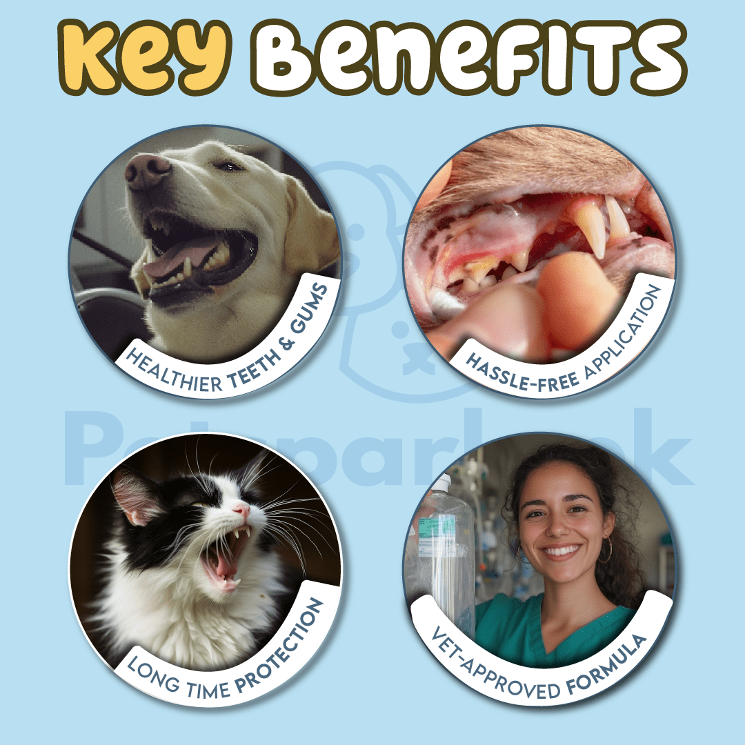 Dental Cleaning Kit for Clean Teeths (2 in 1) - Image 3