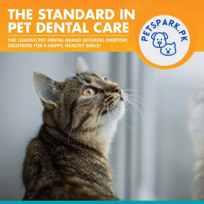 Dental Cleaning Set for Cats & Dogs - Image 3
