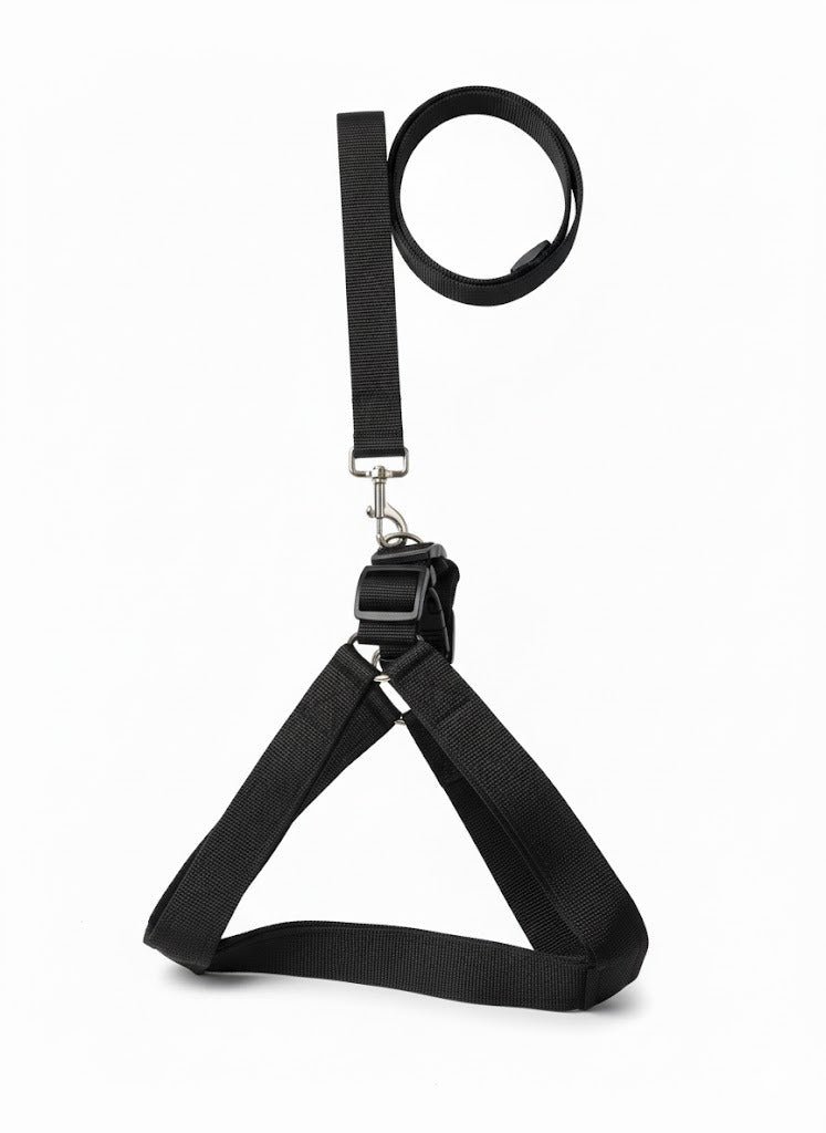 Dog Harness Best Quality - Image 2