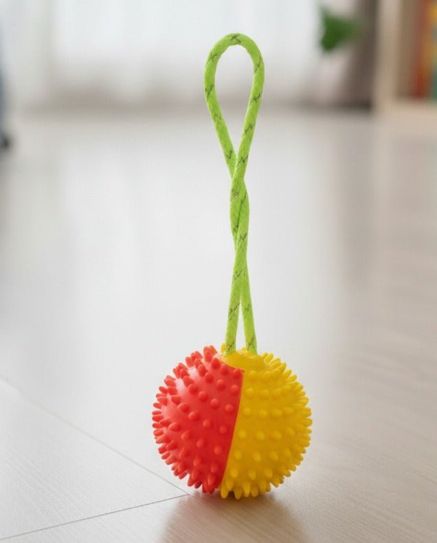 Dog Play Ball with Rope - Image 2