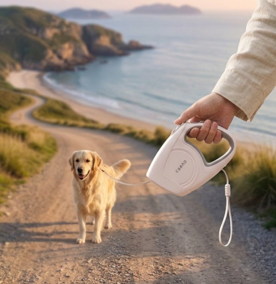 Durable Classic Retractable Leash For Dogs