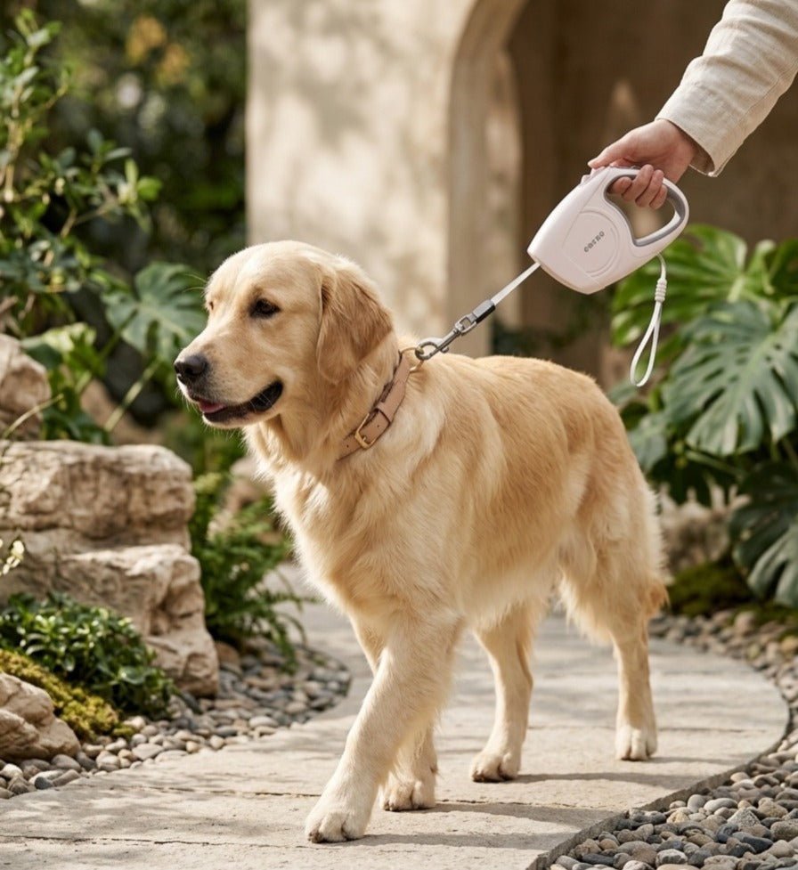 Durable Classic Retractable Leash For Dogs - Image 2