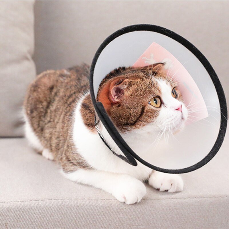 E-Collar for Cats and Dogs - Image 2