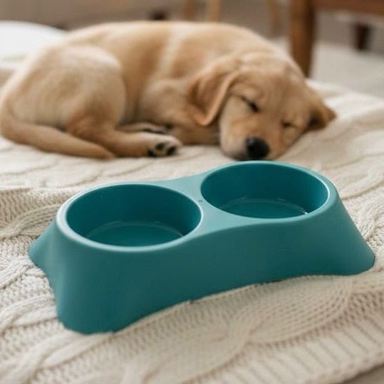 Elegant Double Bowl For Cats & Puppies - Image 2