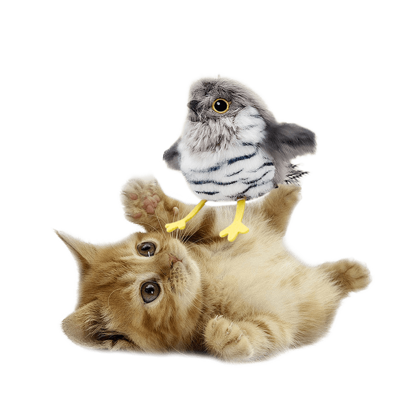 Chirping Bird Toy for Cats - Image 2