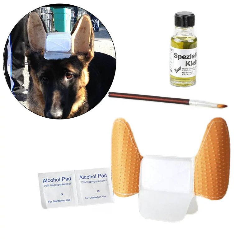 GSD Puppy Ear Support - Image 2