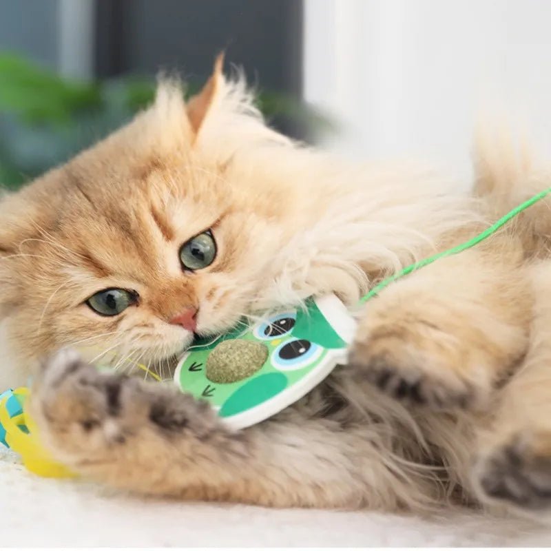 Hanging Catnip Toy for Kitten and Cats
