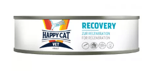 Happy Cat Vet Diet Recovery After Injury/Weight Loss - Image 3
