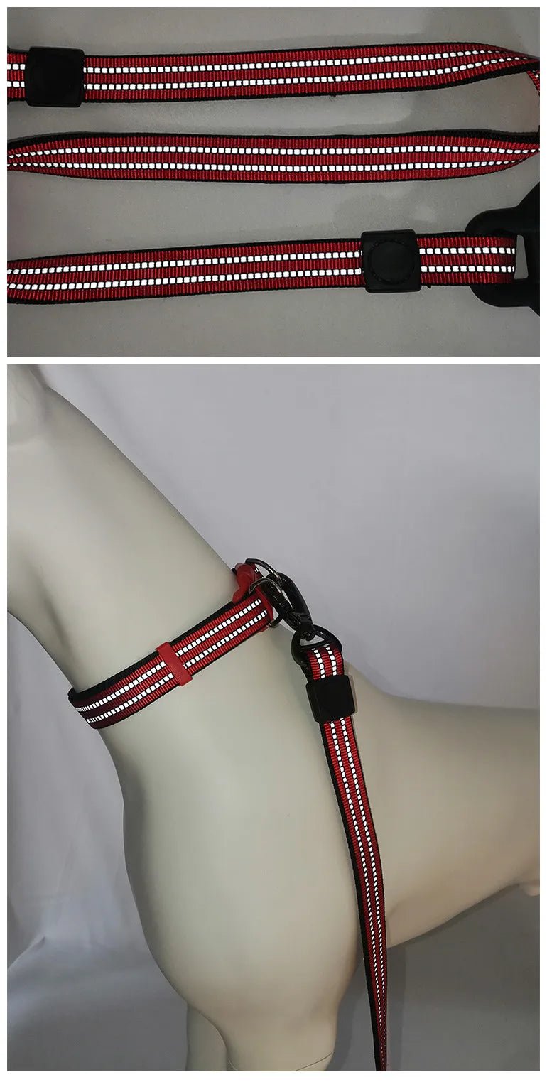 Heavy Duty Dog Leash with Military Grade Carabiner and Strong Rubber Handle - Image 2