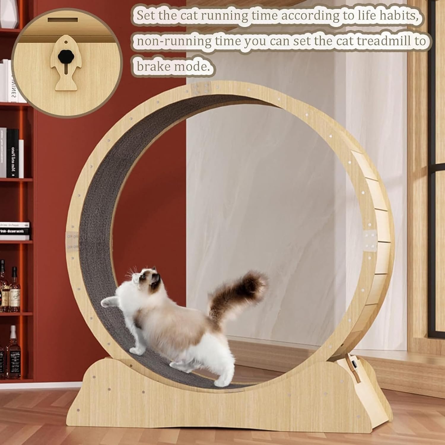 Imported Cat Running Wheel Large - Image 2