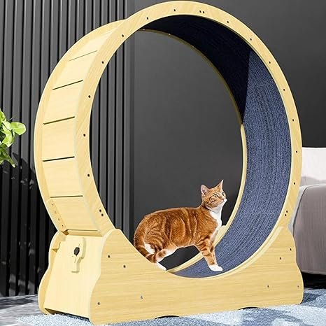 Imported Cat Running Wheel Large - Image 3