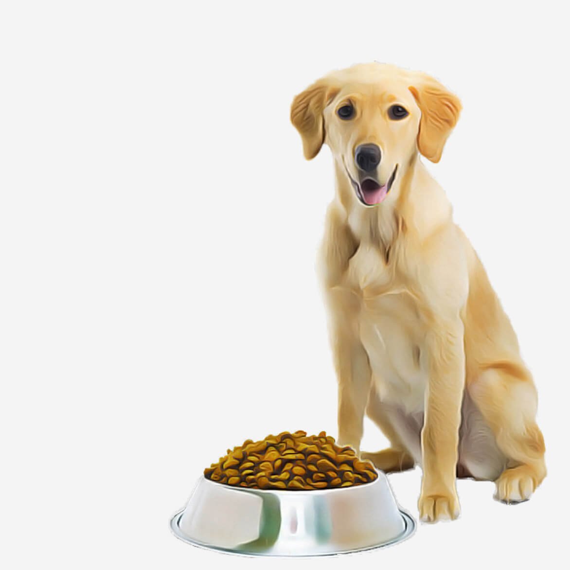 K9 Adult Dog Food – 5 KG - Image 2