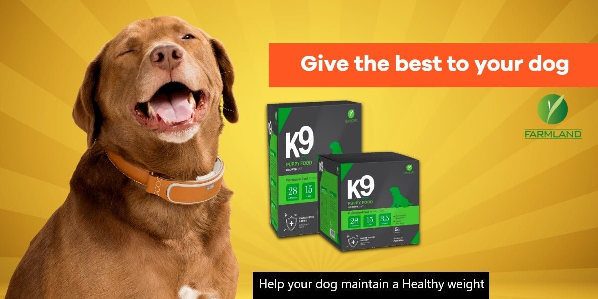 K9 Puppy Food - 5Kg - Image 2