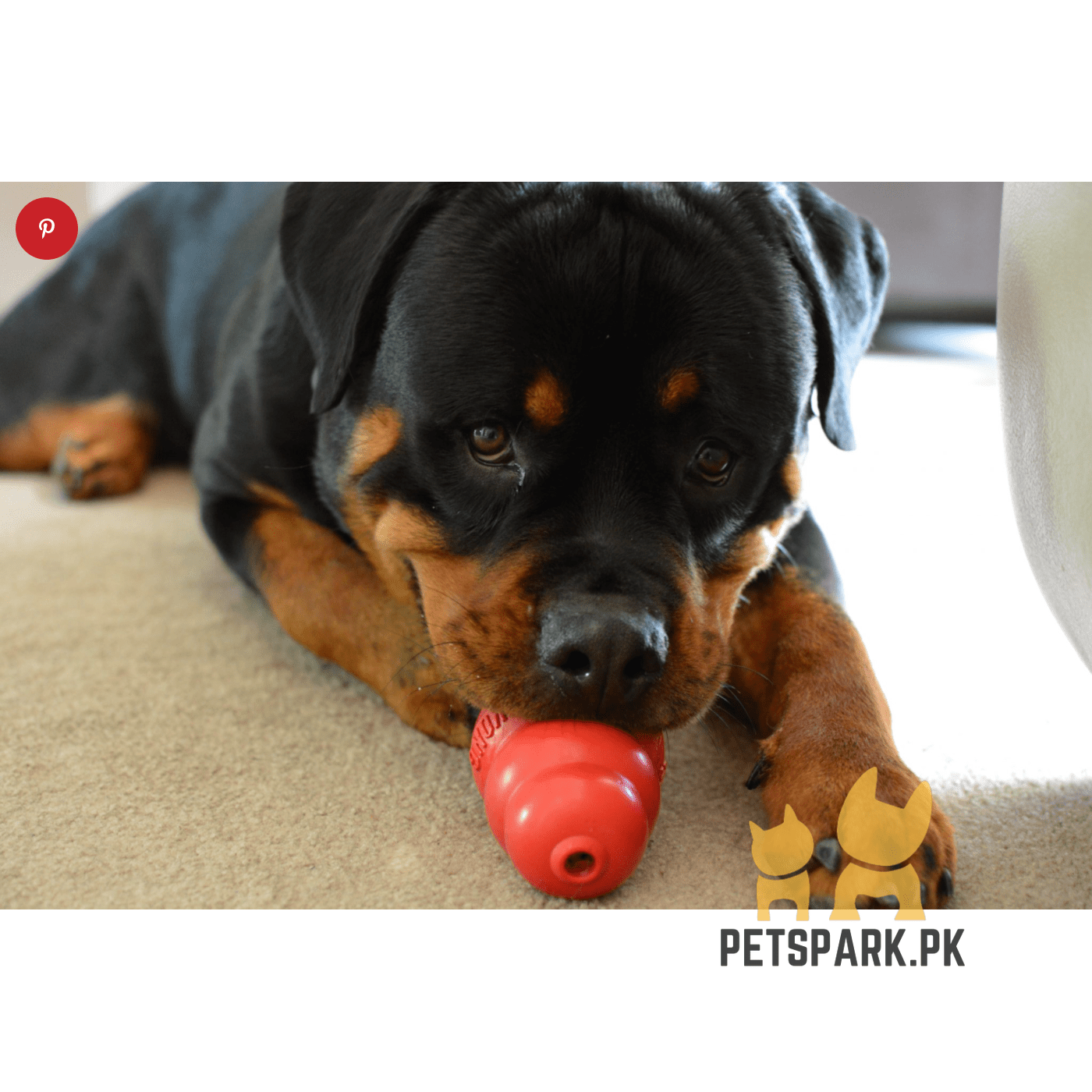 KONG - Puppy Toy Natural Teething Rubber - Kong Dog Toy - Image 3