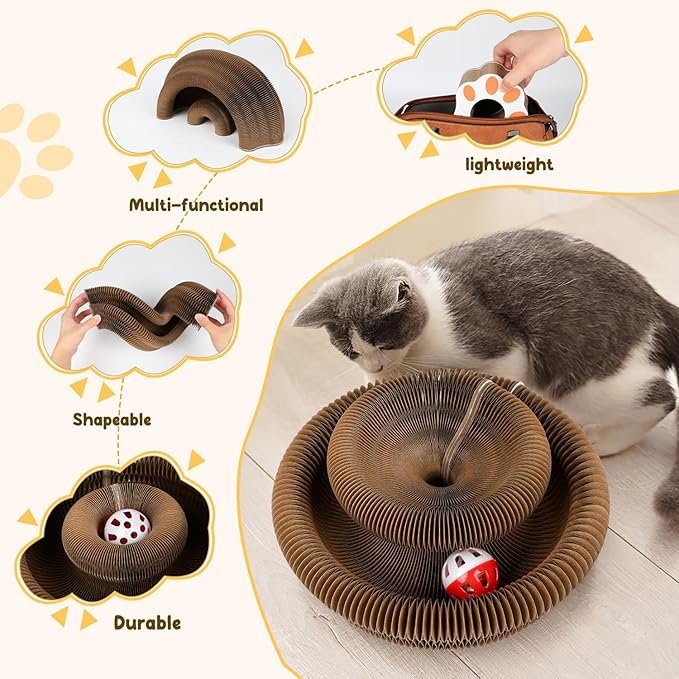 Magic Organ Board Toy for Kitten and Cats - Image 3
