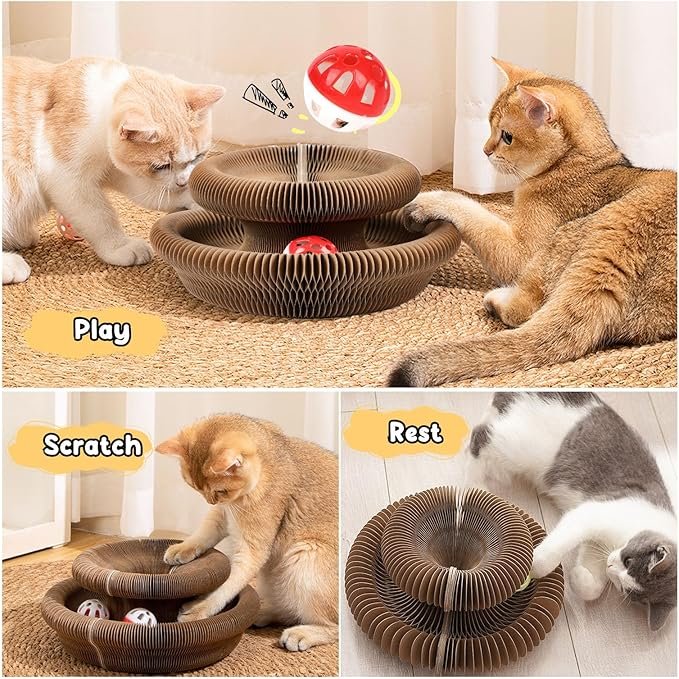 Magic Organ Board Toy for Kitten and Cats - Image 2