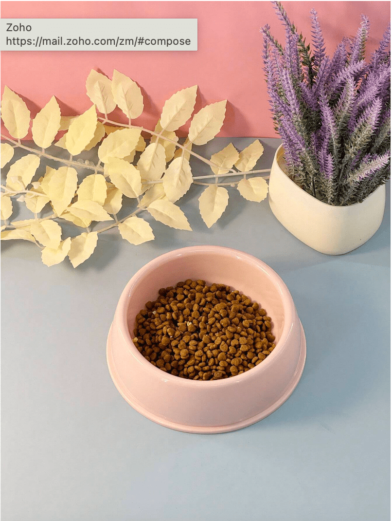 Non-Slip Colorful Imported Pet Food Bowl - Image 2