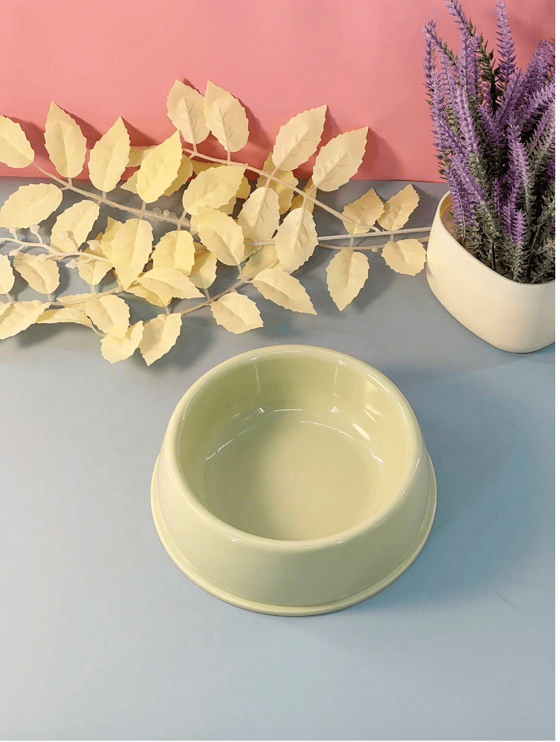 Non-Slip Colorful Imported Pet Food Bowl - Image 3
