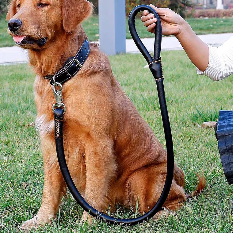 PU leather Leash + Collar - Image 3