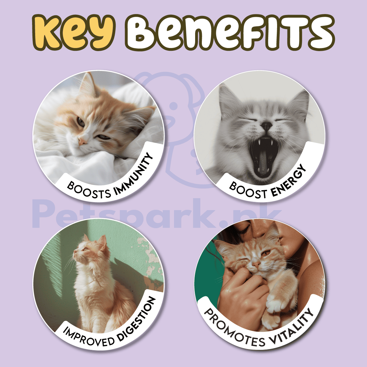 Pawfect Adult Cat Food - 1 Year and Above - Image 3