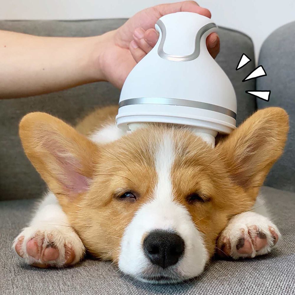 Pet Body Massager for Quick Relief - Image 2