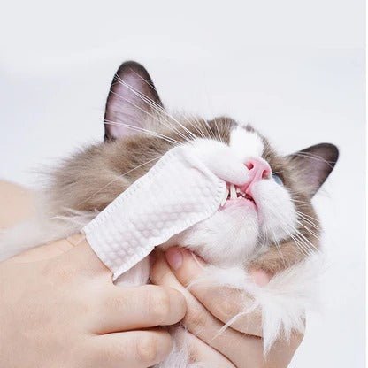 Pet Dental Cleaning Finger Wipes(Pack of 3) - Image 2