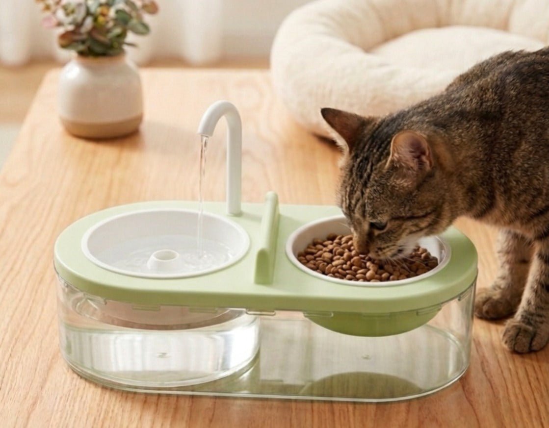 Pet Water And Food Dispenser With Tap - Image 2