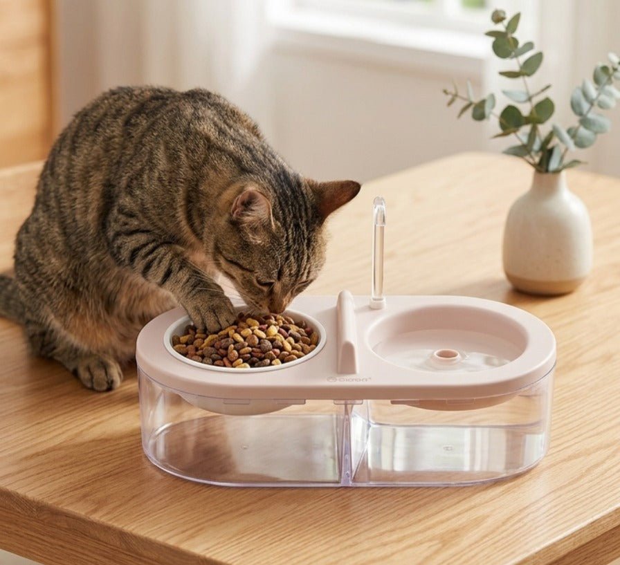 Pet Water And Food Dispenser With Tap - Image 3